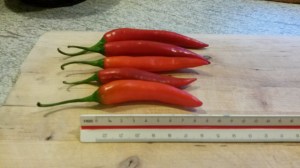 Cayenne Chillies